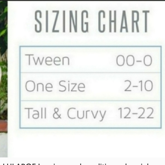 LULAROE Legging good condition autumn color size 12/22 - Picture 3 of 7